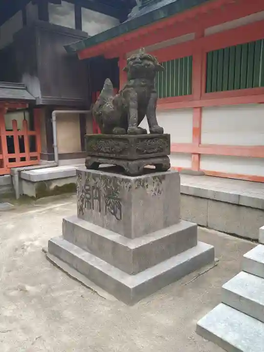 住吉神社の狛犬