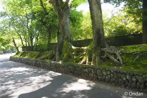 廣隆寺(京都府)
