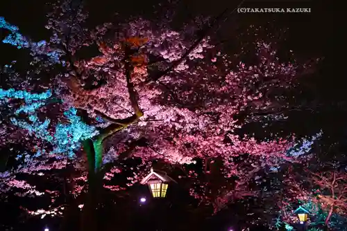 靖國神社(東京都)