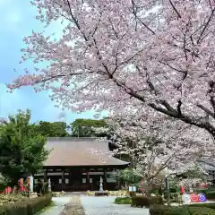 宝林寺の自然