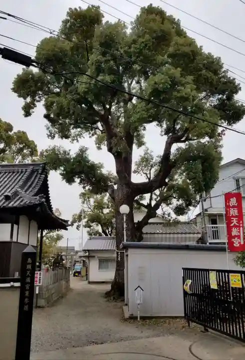 島頭天満宮の自然