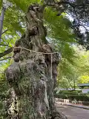 白峯寺(香川県)