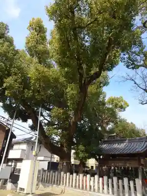保利神社(大阪府)