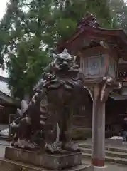 白山比咩神社の狛犬