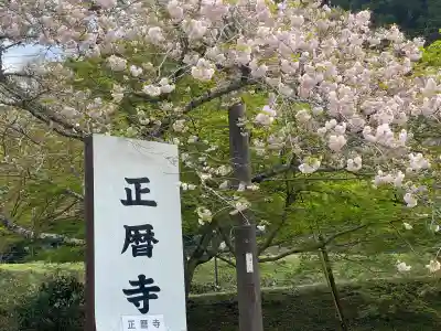 正暦寺の{uncategorized: "未分類", other: "その他", undefined: "問題あり", building: "その他建物", grave: "お墓", sacred_gate: "鳥居", guardian: "狛犬", statue: "像", buddha: "仏像", history: "歴史", nature: "自然", garden: "庭園", animal: "動物", pagoda: "塔", temizu: "手水舎", mountain_gate: "山門・神門", sanctuary: "本殿・本堂", subordinate: "末社・摂社", art: "芸術", scenery: "景色", jizo: "地蔵", ema: "絵馬", goshuin: "御朱印", omikuji: "おみくじ", items: "授与品その他", amulet: "お守り", goshuincho: "御朱印帳", eats: "食事", festival: "お祭り", votive_dance: "神楽", shichigosan: "七五三参", wedding: "結婚式", experience: "体験その他", initially: "初詣", around: "周辺", anti_infection: "感染症対策"}