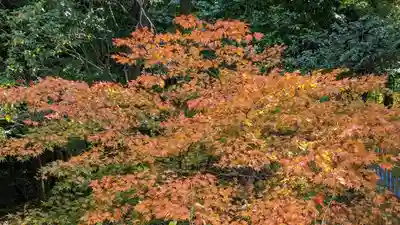 本圀寺(京都府)