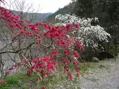 仙龍寺の自然