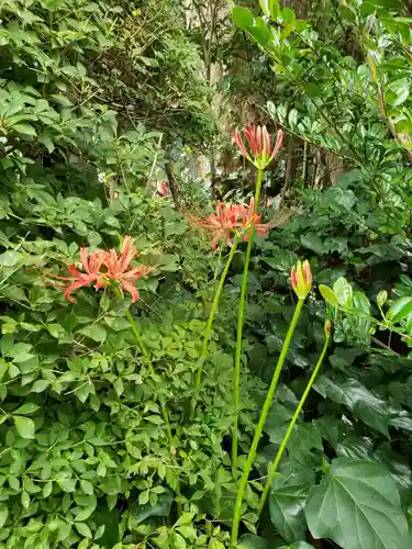 東郷神社(東京都)