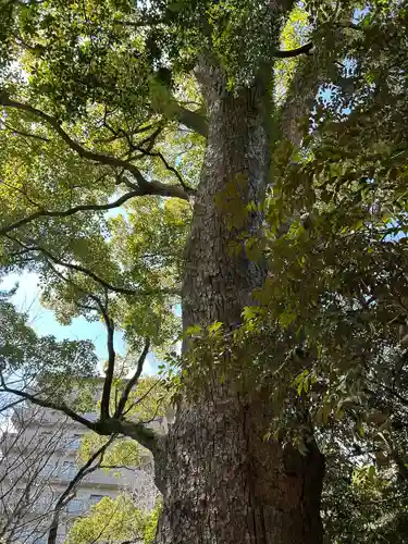 長田神社(兵庫県)