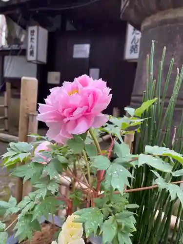 上野東照宮(東京都)