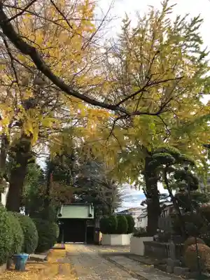 円福寺の山門・神門