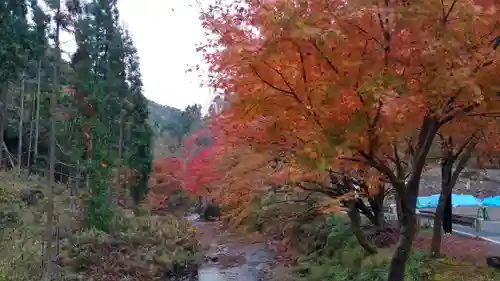 貴船神社の自然