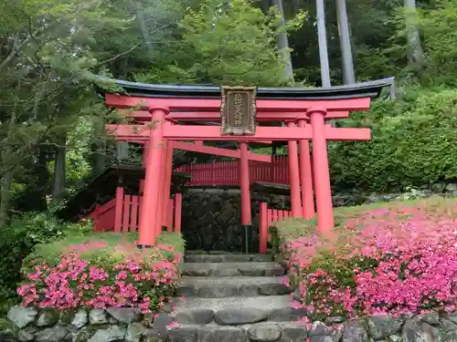 善峯寺の鳥居