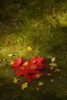 今熊野観音寺(京都府)