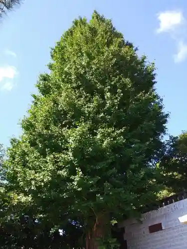 叶神社 (西叶神社)のその他建物