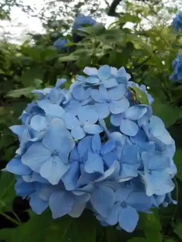 長屋神社の自然