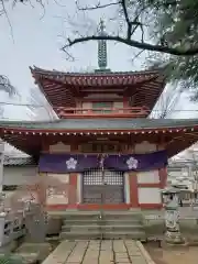 新井薬師（梅照院）の建物その他