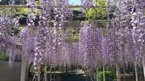熊野神社の自然
