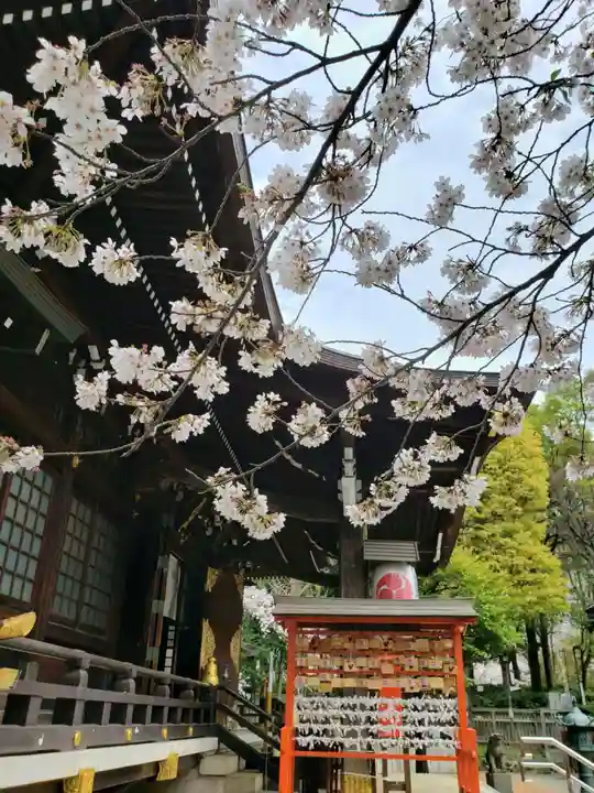 熊野神社(東京都)
