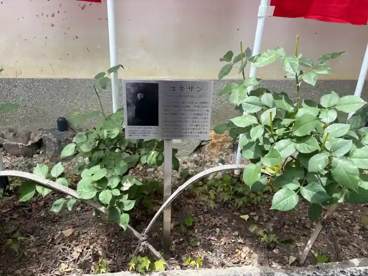 五大堂同聚院の{uncategorized: "未分類", other: "その他", undefined: "問題あり", building: "その他建物", grave: "お墓", sacred_gate: "鳥居", guardian: "狛犬", statue: "像", buddha: "仏像", history: "歴史", nature: "自然", garden: "庭園", animal: "動物", pagoda: "塔", temizu: "手水舎", mountain_gate: "山門・神門", sanctuary: "本殿・本堂", subordinate: "末社・摂社", art: "芸術", scenery: "景色", jizo: "地蔵", ema: "絵馬", goshuin: "御朱印", omikuji: "おみくじ", items: "授与品その他", amulet: "お守り", goshuincho: "御朱印帳", eats: "食事", festival: "お祭り", votive_dance: "神楽", shichigosan: "七五三参", wedding: "結婚式", experience: "体験その他", initially: "初詣", around: "周辺", anti_infection: "感染症対策"}