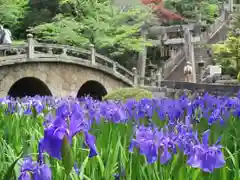 菅原神社の自然