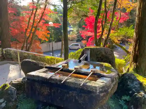 今熊野観音寺の手水舎
