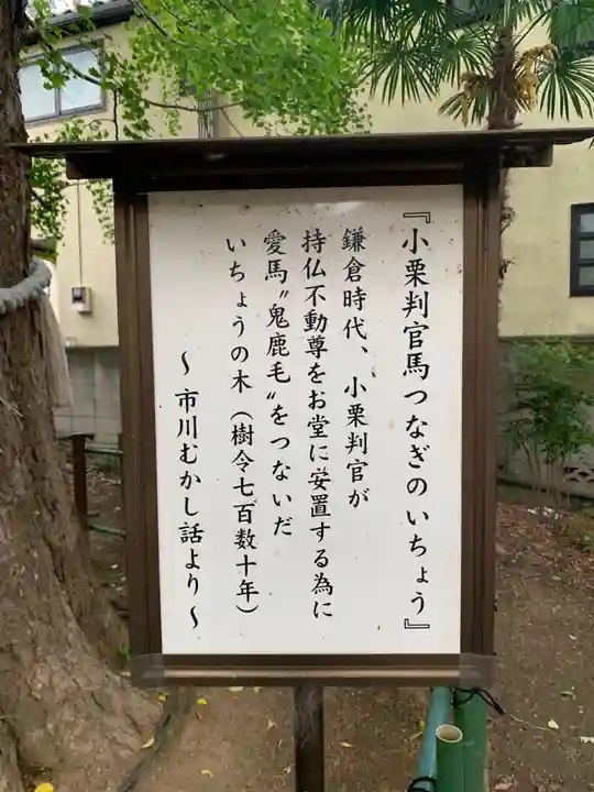 神明寺(千葉県)