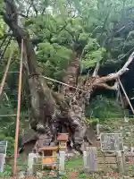 葛見神社(静岡県)