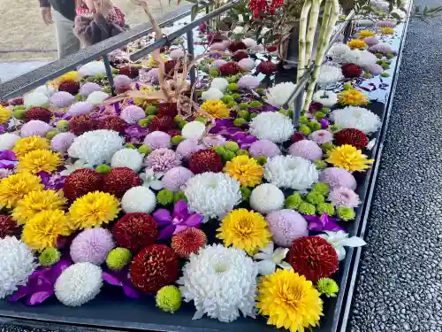 武蔵野坐令和神社の{uncategorized: "未分類", other: "その他", undefined: "問題あり", building: "その他建物", grave: "お墓", sacred_gate: "鳥居", guardian: "狛犬", statue: "像", buddha: "仏像", history: "歴史", nature: "自然", garden: "庭園", animal: "動物", pagoda: "塔", temizu: "手水舎", mountain_gate: "山門・神門", sanctuary: "本殿・本堂", subordinate: "末社・摂社", art: "芸術", scenery: "景色", jizo: "地蔵", ema: "絵馬", goshuin: "御朱印", omikuji: "おみくじ", items: "授与品その他", amulet: "お守り", goshuincho: "御朱印帳", eats: "食事", festival: "お祭り", votive_dance: "神楽", shichigosan: "七五三参", wedding: "結婚式", experience: "体験その他", initially: "初詣", around: "周辺", anti_infection: "感染症対策"}
