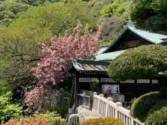 北野天満神社の本殿