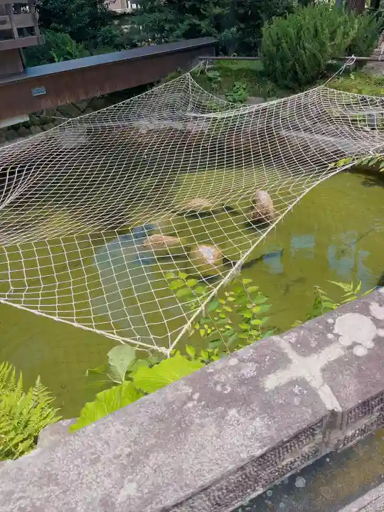 神炊館神社 ⁂奥州須賀川総鎮守⁂(福島県)