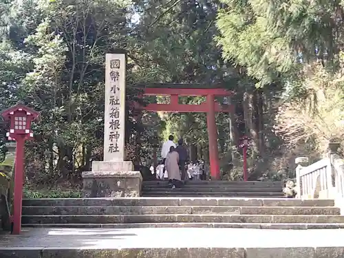 箱根神社の鳥居