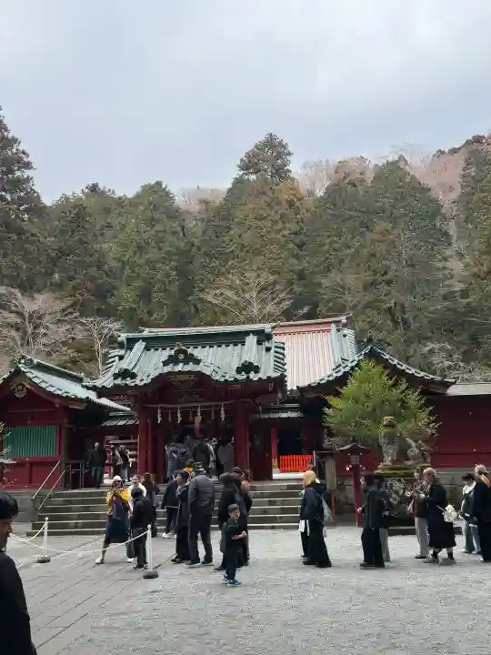 箱根神社の{uncategorized: "未分類", other: "その他", undefined: "問題あり", building: "その他建物", grave: "お墓", sacred_gate: "鳥居", guardian: "狛犬", statue: "像", buddha: "仏像", history: "歴史", nature: "自然", garden: "庭園", animal: "動物", pagoda: "塔", temizu: "手水舎", mountain_gate: "山門・神門", sanctuary: "本殿・本堂", subordinate: "末社・摂社", art: "芸術", scenery: "景色", jizo: "地蔵", ema: "絵馬", goshuin: "御朱印", omikuji: "おみくじ", items: "授与品その他", amulet: "お守り", goshuincho: "御朱印帳", eats: "食事", festival: "お祭り", votive_dance: "神楽", shichigosan: "七五三参", wedding: "結婚式", experience: "体験その他", initially: "初詣", around: "周辺", anti_infection: "感染症対策"}