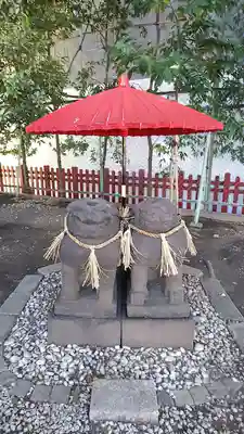 浅草神社の狛犬