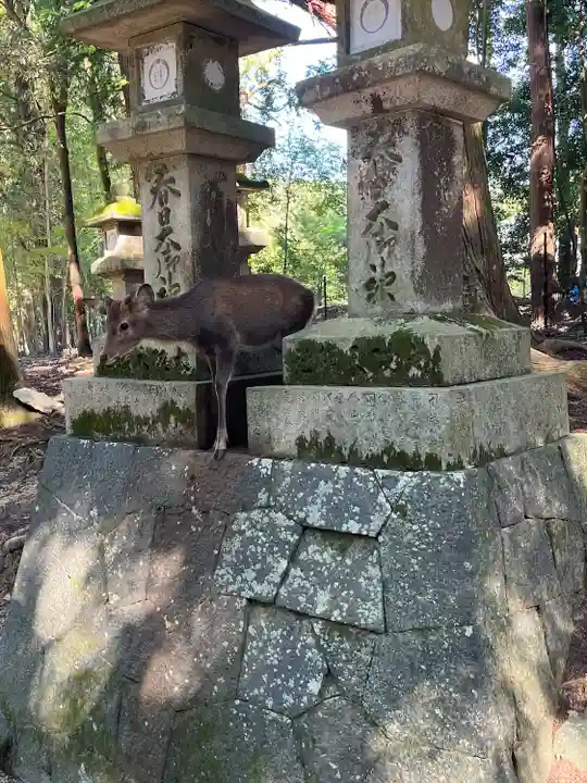 春日大社(奈良県)