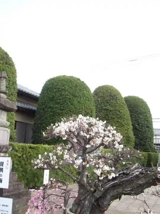 真光寺(千葉県)