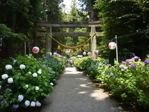 磯山神社の鳥居