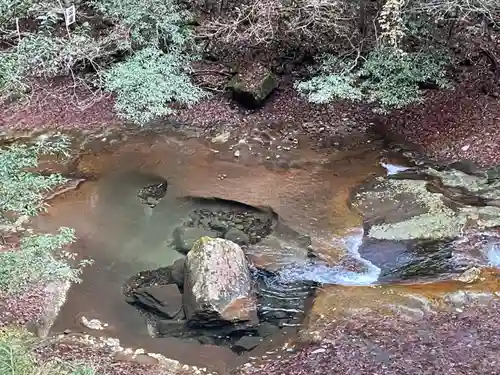 龍鎮神社の自然
