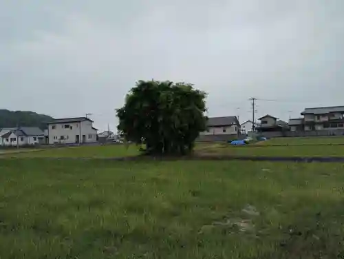 妙玄寺の歴史