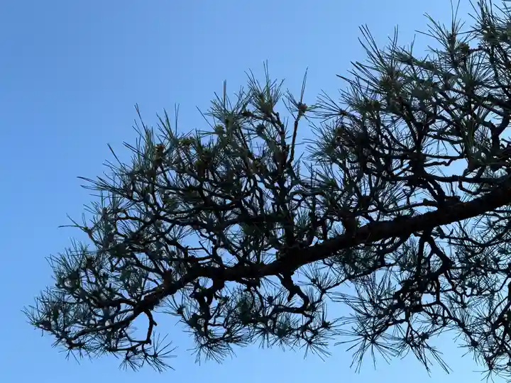 西方山極楽寺(岐阜県)