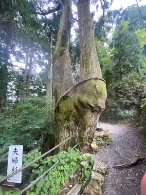 玉置神社(奈良県)