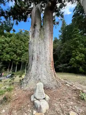 室生龍穴神社(奈良県)