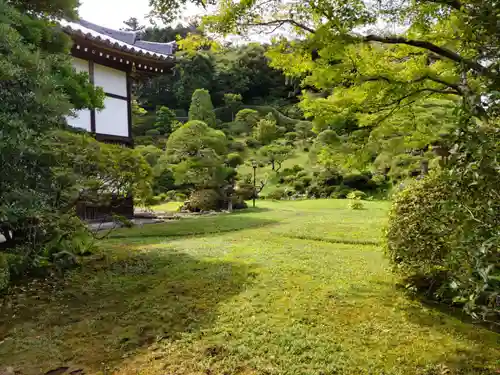 能仁寺の庭園