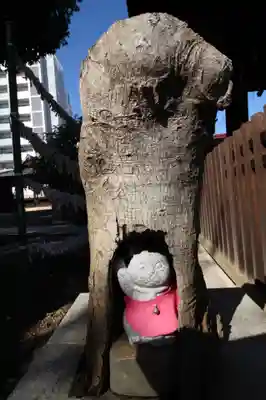 荻窪白山神社の狛犬