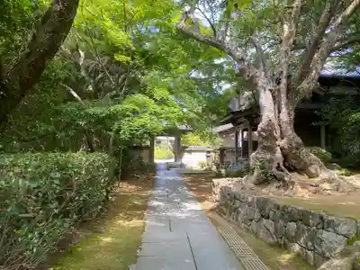 花山院菩提寺(兵庫県)