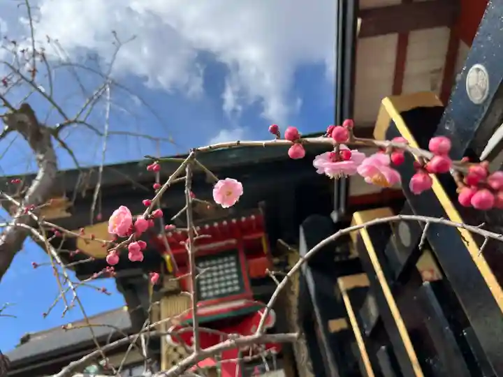 水戸東照宮(茨城県)