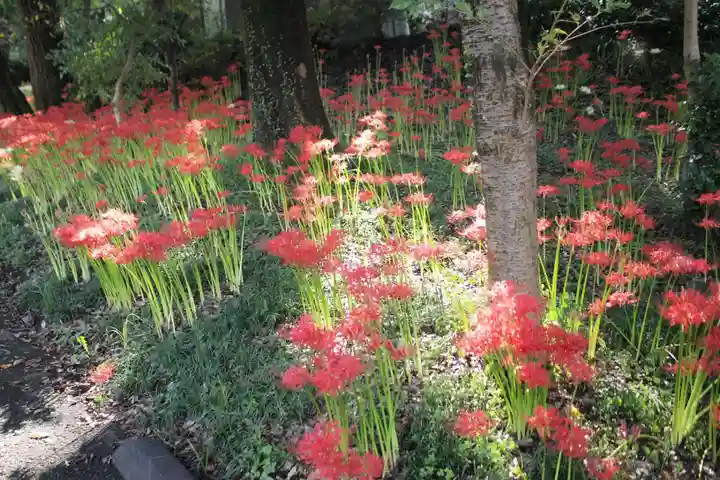 糀谷八幡宮の自然