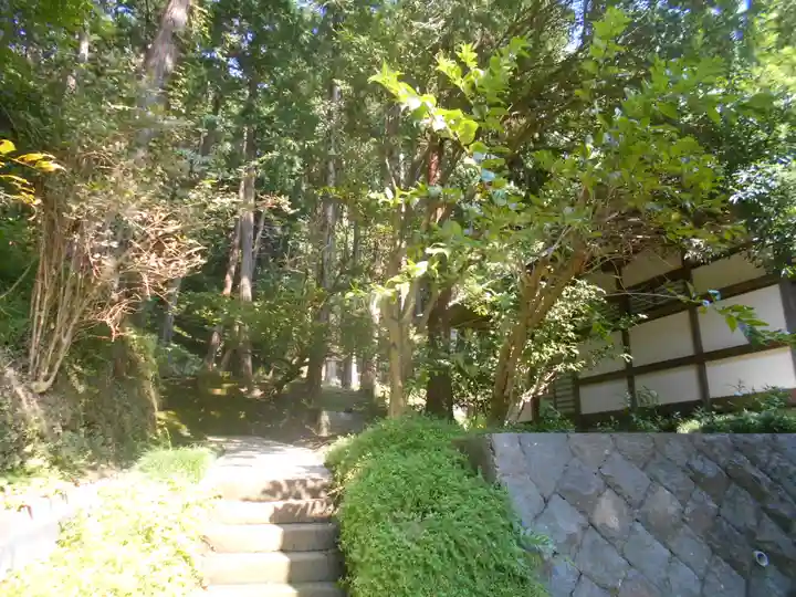 龍寳寺(龍宝寺)の自然