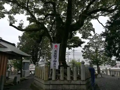 西宮八幡宮(山口県)