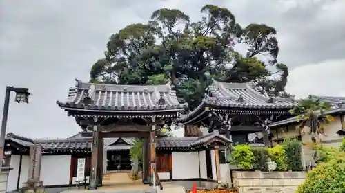 法光寺(埼玉県)